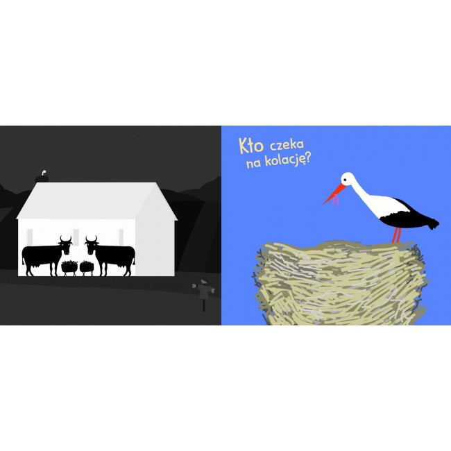 Książka "Co tu się schowało? Odkrycia z latarką" wydawnictwo Multico