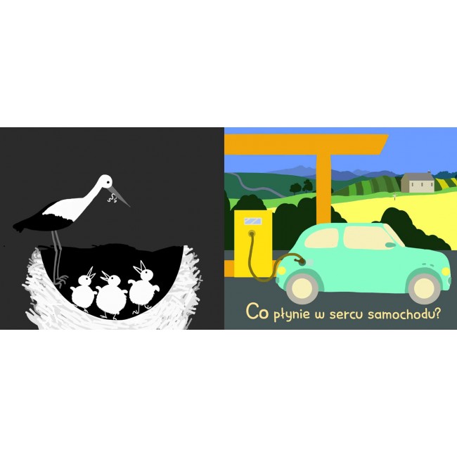 Książka "Co tu się schowało? Odkrycia z latarką" wydawnictwo Multico