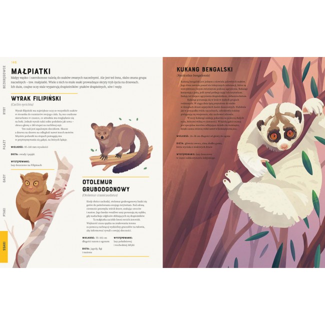 Książka "Zwierzęta od A do Z" wydawnictwo Kropka