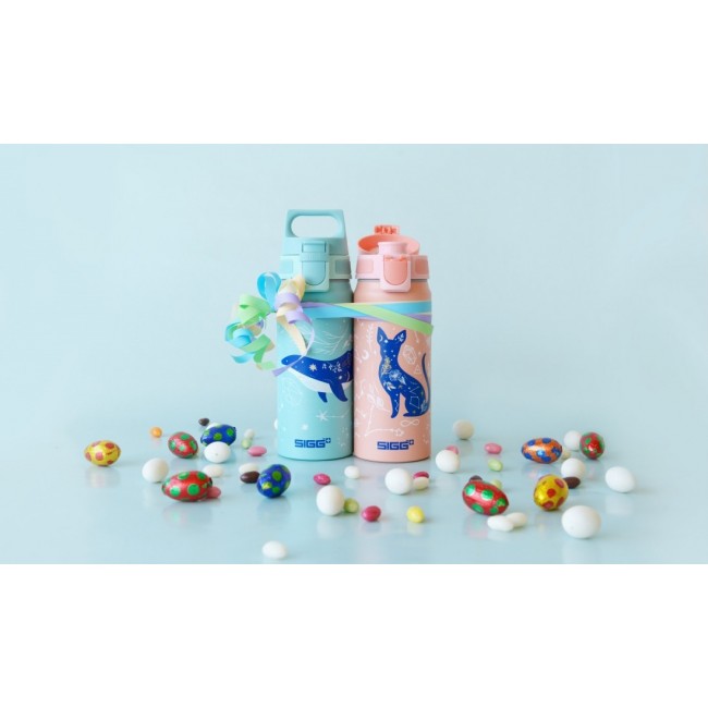 Butelka WMB ONE Sigg 0,6 l - My Universe