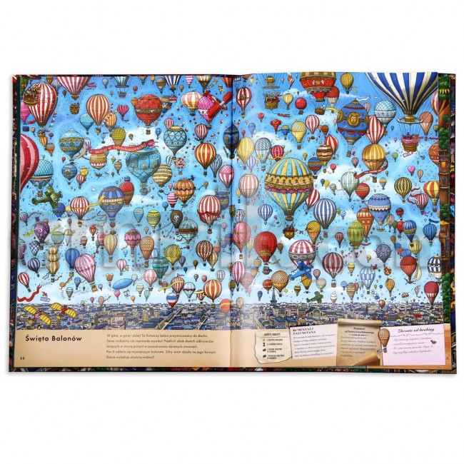 Książka "Detektyw Pierre w labiryncie" wydawnictwo Nasza Księgarnia