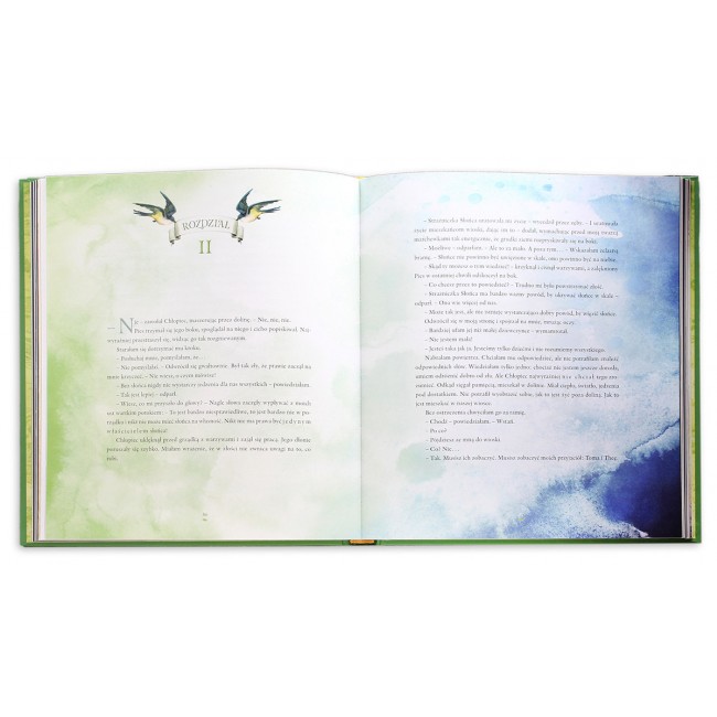 Książka "Strażniczka Słońca" Wydawnictwo Literackie