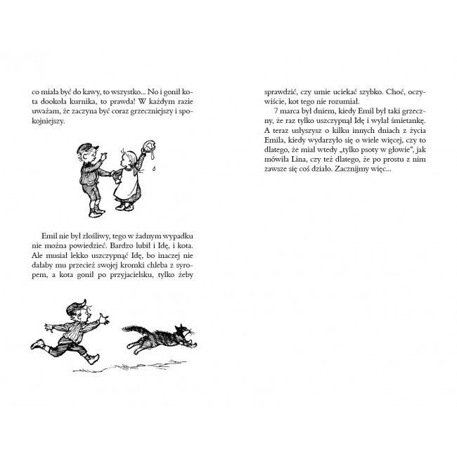 Książka "Przygody Emila ze Smalandii" Wydawnictwo Nasza Księgarnia