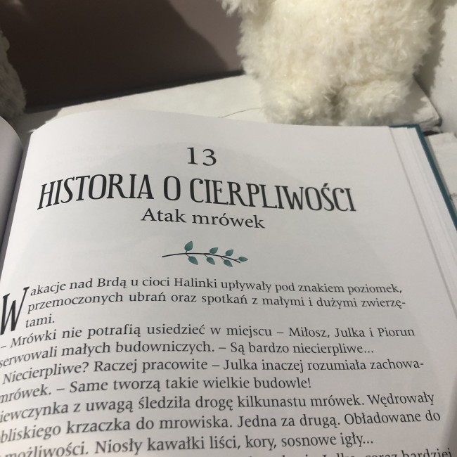 Książka "Opowieści o tym, co daje moc" Wydawnictwo Ibis