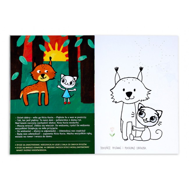 Książka "Kicia Kocia w lesie" wydawnictwo Media Rodzina