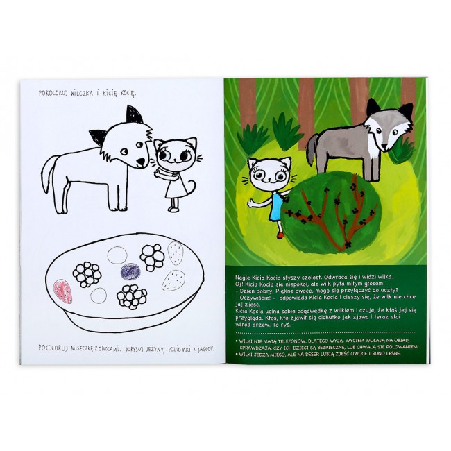 Książka "Kicia Kocia w lesie" wydawnictwo Media Rodzina