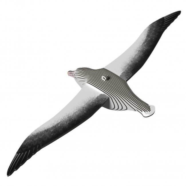 Eko Układanka 3D Eugy - Albatros królewski