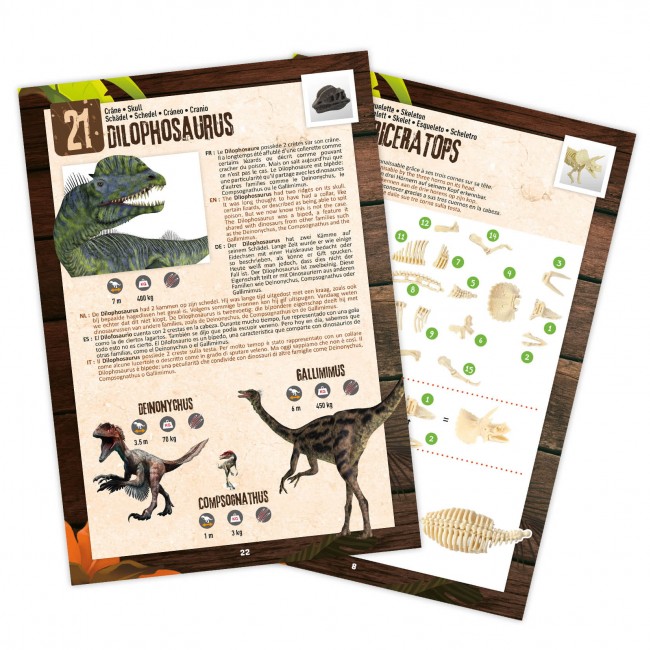 Pudełko 25 niespodzianek z dinozaurami Buki