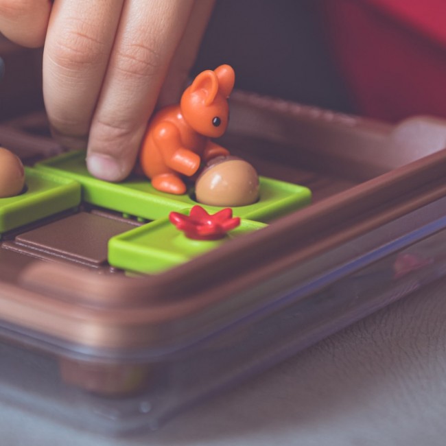 Gra logiczna Smart Games - Wiewiórki atakują