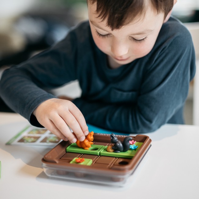 Gra logiczna Smart Games - Wiewiórki atakują