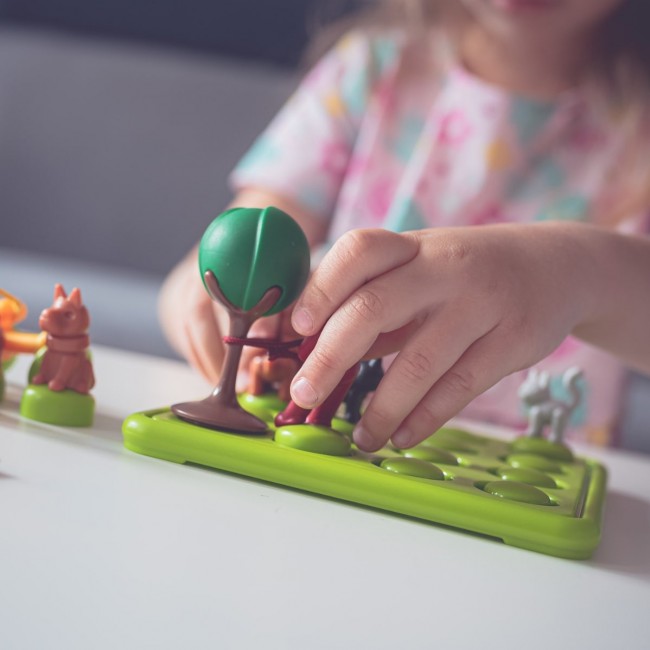 Gra logiczna Smart Games - Psiaki Na Spacerze