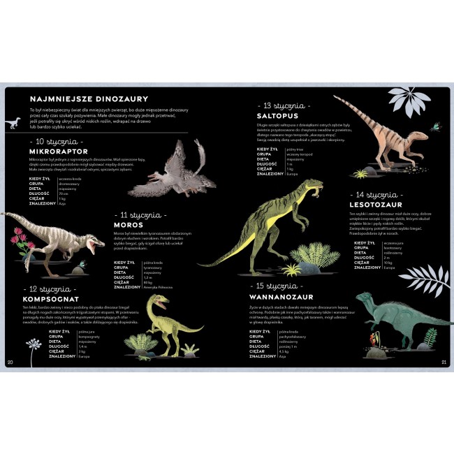 Książka "Rok z dinozaurami" Wydawnictwo Kropka