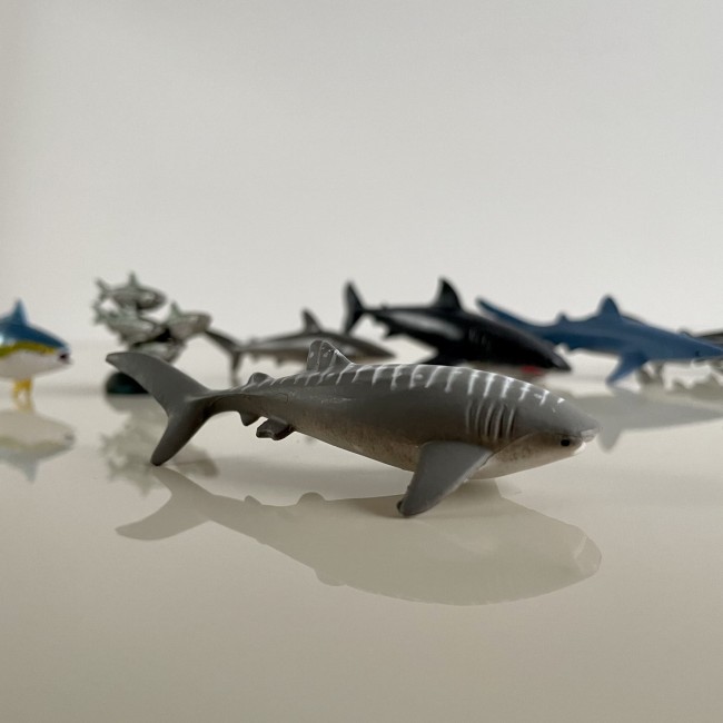Zestaw Figurek w Tubie TOOB Safari Ltd. - Duże Ryby Pelagiczne