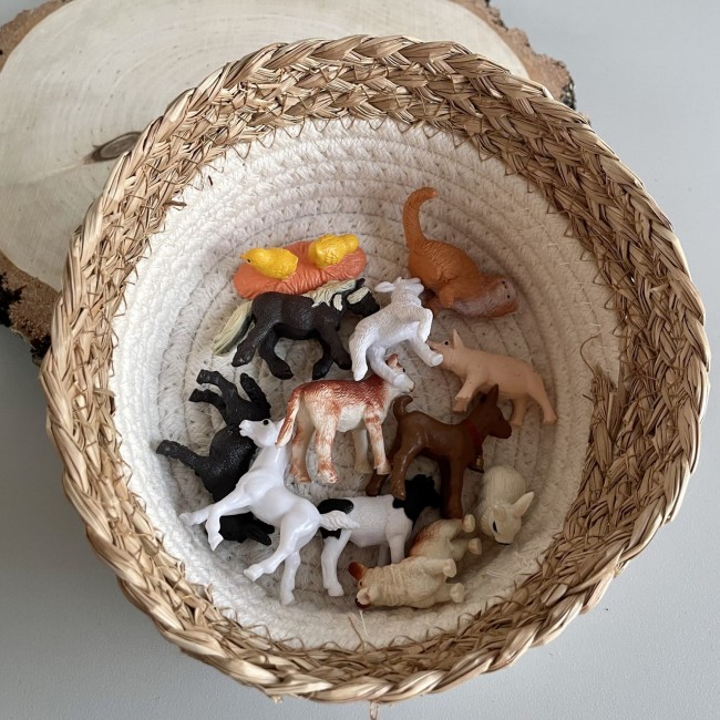 Zestaw Figurek w Tubie TOOB Safari Ltd. - Małe Zwierzątka na Wsi
