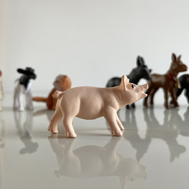 Zestaw Figurek w Tubie TOOB Safari Ltd. - Małe Zwierzątka na Wsi