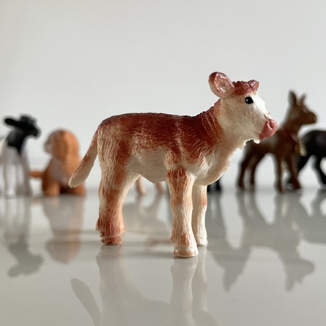Zestaw Figurek w Tubie TOOB Safari Ltd. - Małe Zwierzątka na Wsi