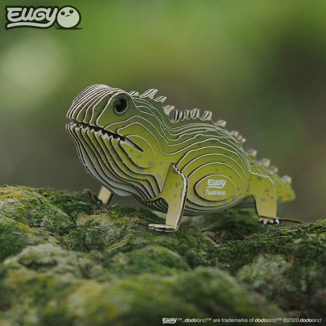 Eko Układanka 3D Eugy - Łupkoząb