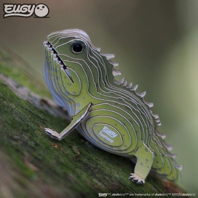 Eko Układanka 3D Eugy - Łupkoząb