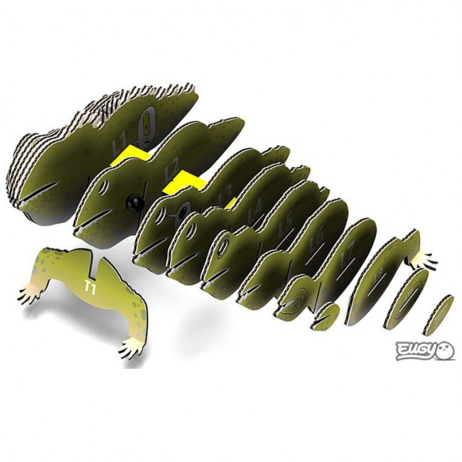 Eko Układanka 3D Eugy - Łupkoząb