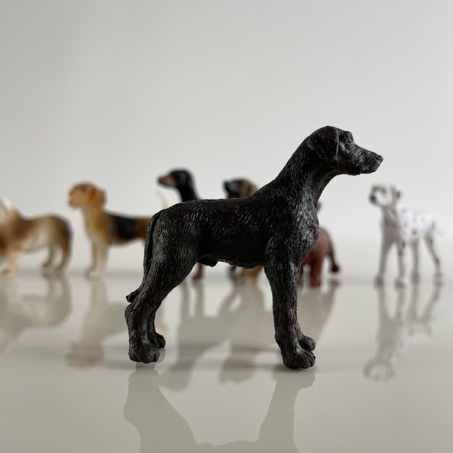 Zestaw Figurek w Tubie TOOB Safari Ltd. - Psy