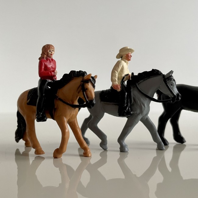 Zestaw Figurek w Tubie TOOB Safari Ltd. - Konie z Jeźdźcami