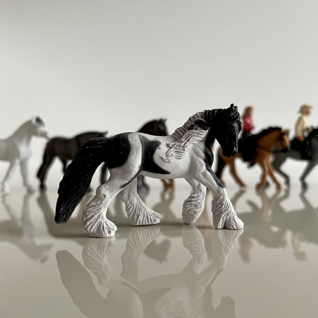 Zestaw Figurek w Tubie TOOB Safari Ltd. - Konie z Jeźdźcami
