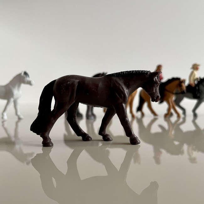 Zestaw Figurek w Tubie TOOB Safari Ltd. - Konie z Jeźdźcami