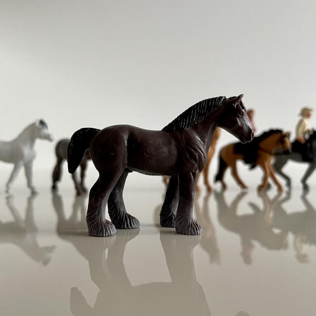 Zestaw Figurek w Tubie TOOB Safari Ltd. - Konie z Jeźdźcami