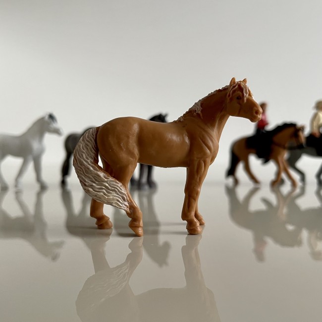 Zestaw Figurek w Tubie TOOB Safari Ltd. - Konie z Jeźdźcami