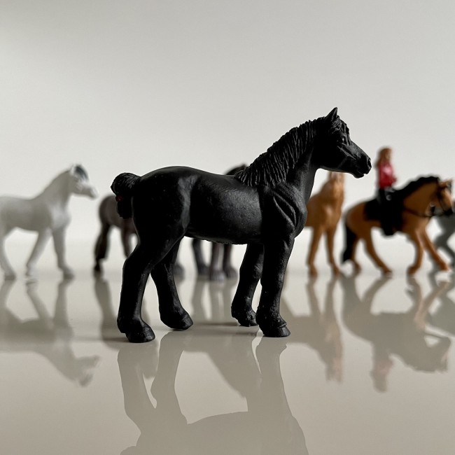 Zestaw Figurek w Tubie TOOB Safari Ltd. - Konie z Jeźdźcami