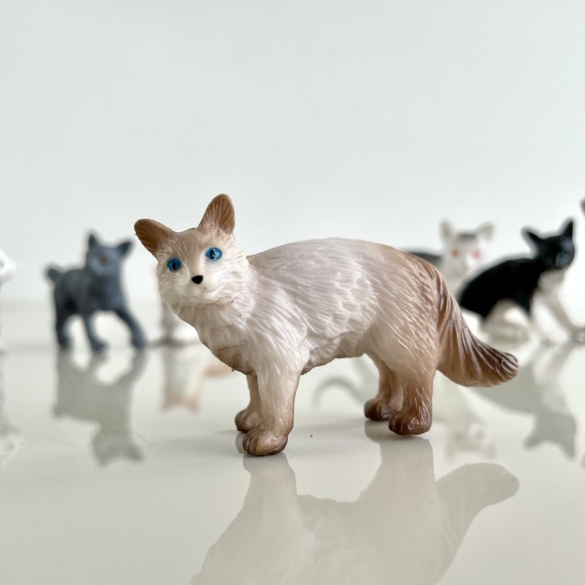 Zestaw Figurek w Tubie TOOB Safari Ltd. - Koty domowe