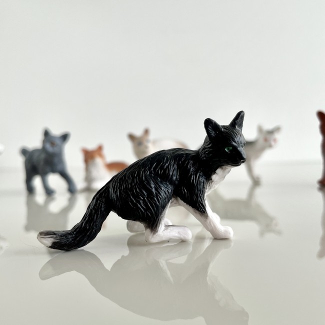 Zestaw Figurek w Tubie TOOB Safari Ltd. - Koty domowe