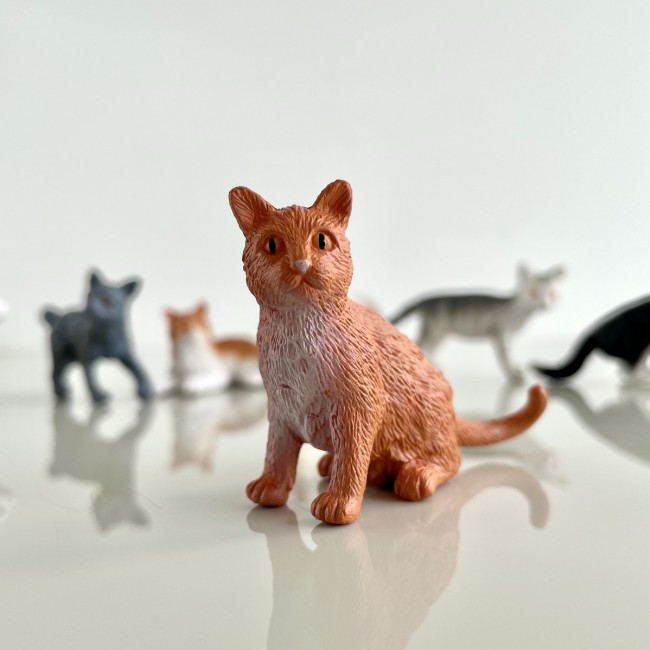 Zestaw Figurek w Tubie TOOB Safari Ltd. - Koty domowe