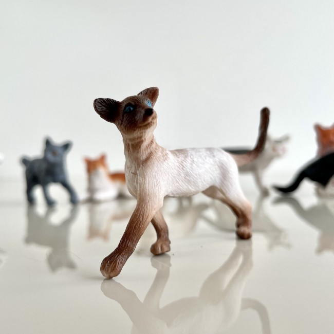 Zestaw Figurek w Tubie TOOB Safari Ltd. - Koty domowe