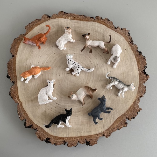 Zestaw Figurek w Tubie TOOB Safari Ltd. - Koty domowe
