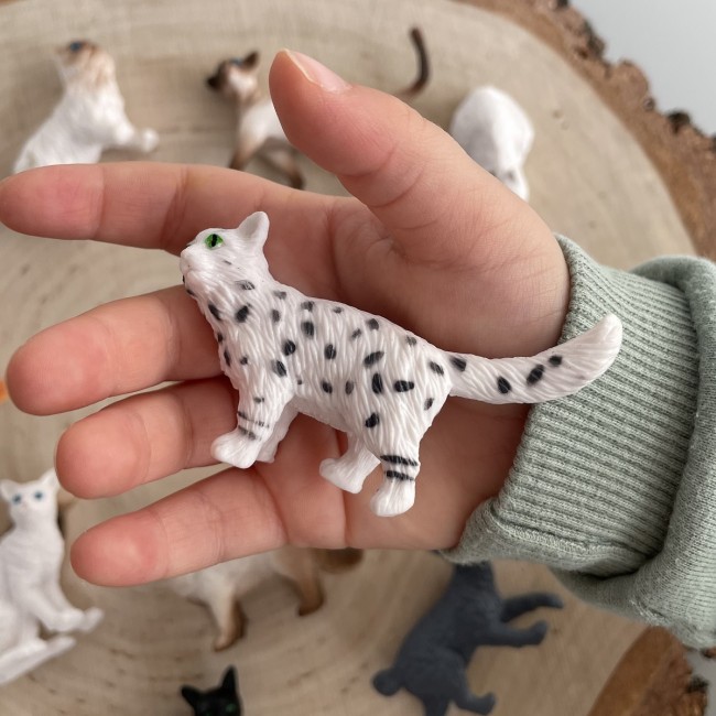 Zestaw Figurek w Tubie TOOB Safari Ltd. - Koty domowe