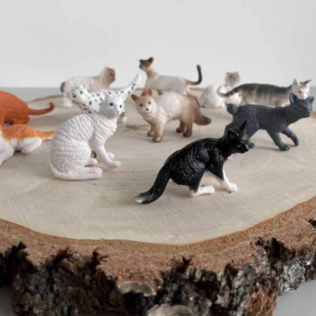 Zestaw Figurek w Tubie TOOB Safari Ltd. - Koty domowe