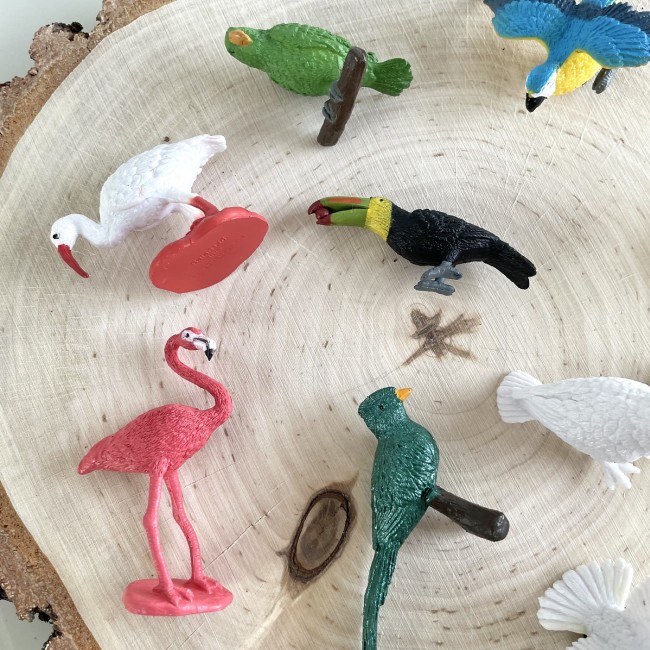 Zestaw Figurek w Tubie TOOB Safari Ltd. - Egzotyczne Ptaki