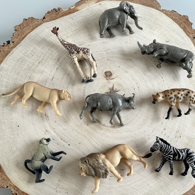 Zestaw Figurek w Tubie TOOB Safari Ltd. - Zwierzęta Południowej Afryki