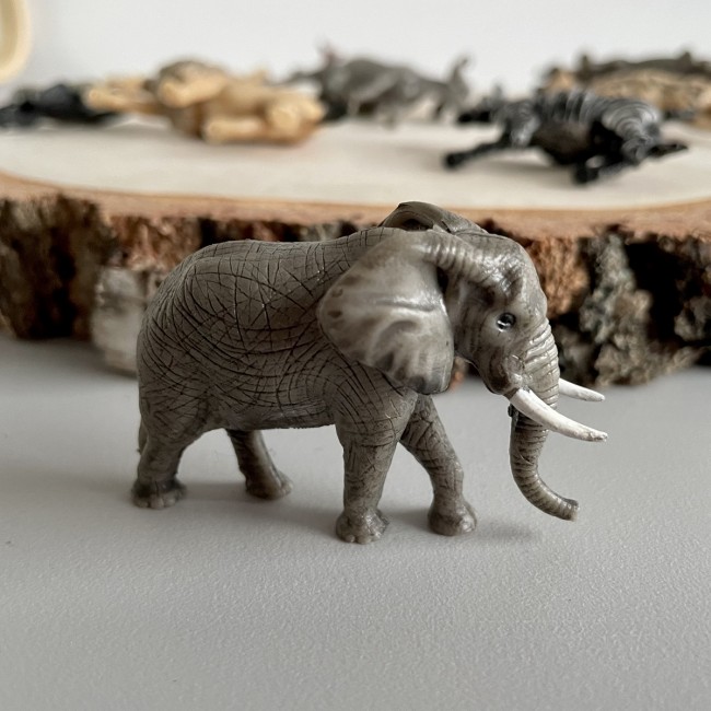 Zestaw Figurek w Tubie TOOB Safari Ltd. - Zwierzęta Południowej Afryki