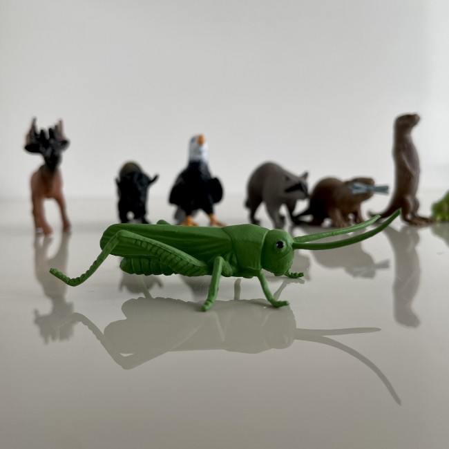 Zestaw Figurek w Tubie TOOB Safari Ltd. - Zwierzęta Leśne