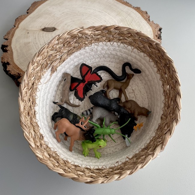Zestaw Figurek w Tubie TOOB Safari Ltd. - Zwierzęta Leśne