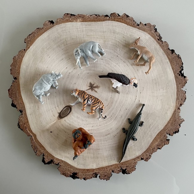 Zestaw Figurek w Tubie TOOB Safari Ltd. - Zwierzęta Azji