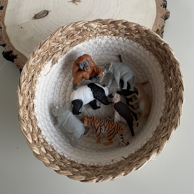 Zestaw Figurek w Tubie TOOB Safari Ltd. - Zwierzęta Azji