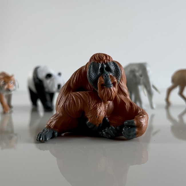 Zestaw Figurek w Tubie TOOB Safari Ltd. - Zwierzęta Azji