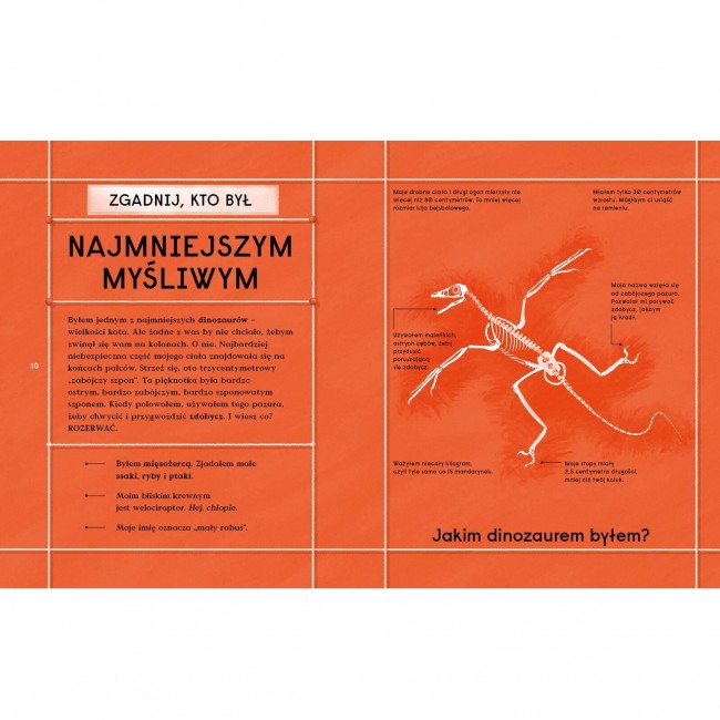 Książka "Księga dinozaurów" Wydawnictwo Kropka