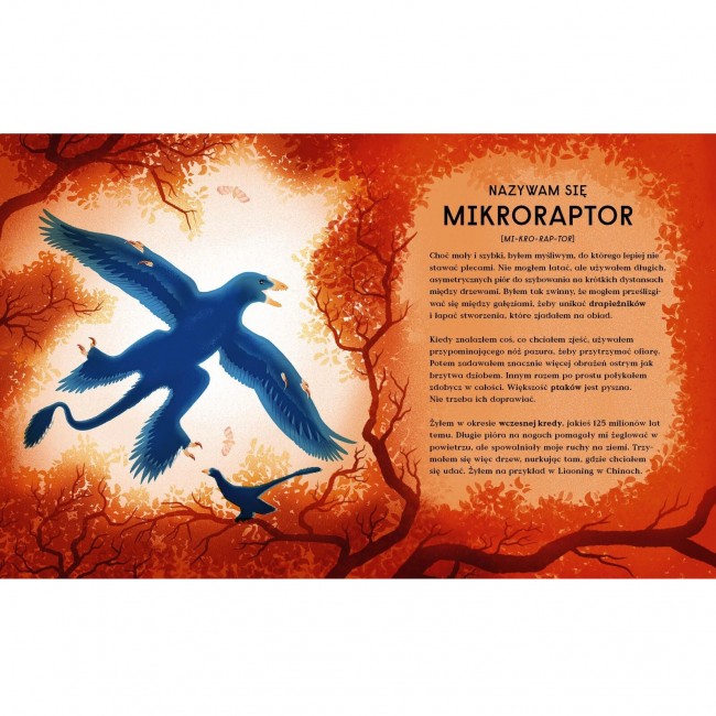 Książka "Księga dinozaurów" Wydawnictwo Kropka