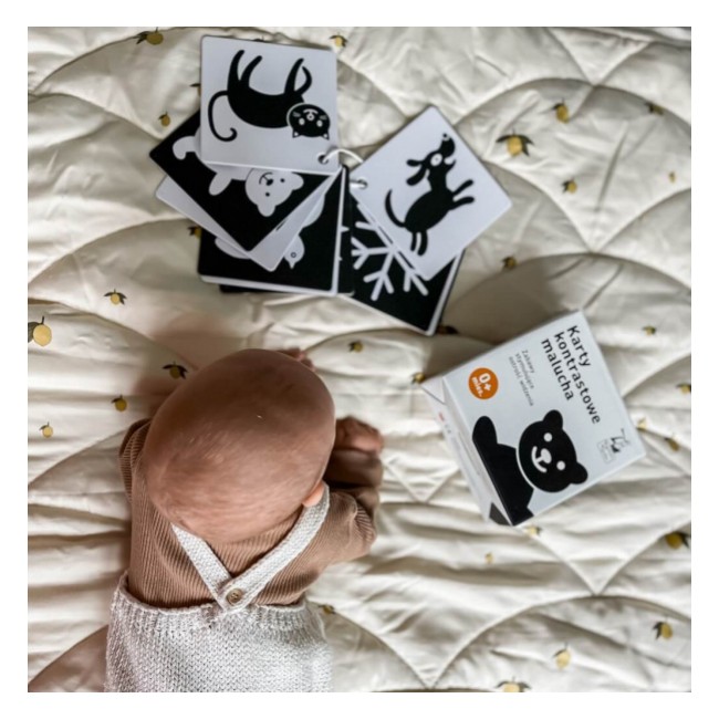 Kapitan Nauka. Karty kontrastowe malucha 0+