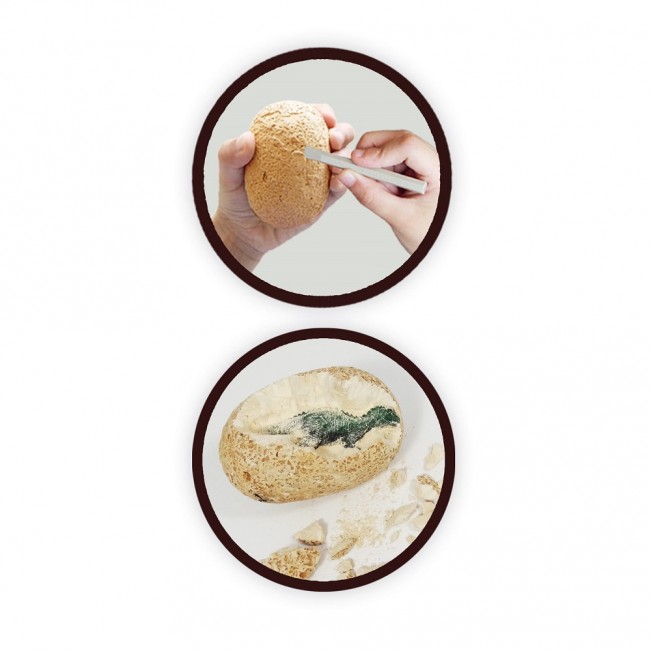 Mega paka jajek dinozaura Buki - 12 sztuk