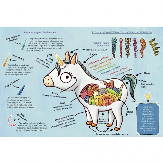 Książka "101 jednorożców i wszystko, co musisz o nich wiedzieć" Wydawnictwo Emotikon